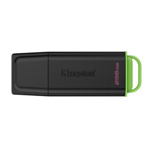 MEMORIA USB 256GB KINGSTON DATATRAVELER EXODIA USB-A 3.2 GEN 1 DTXG2/256GB